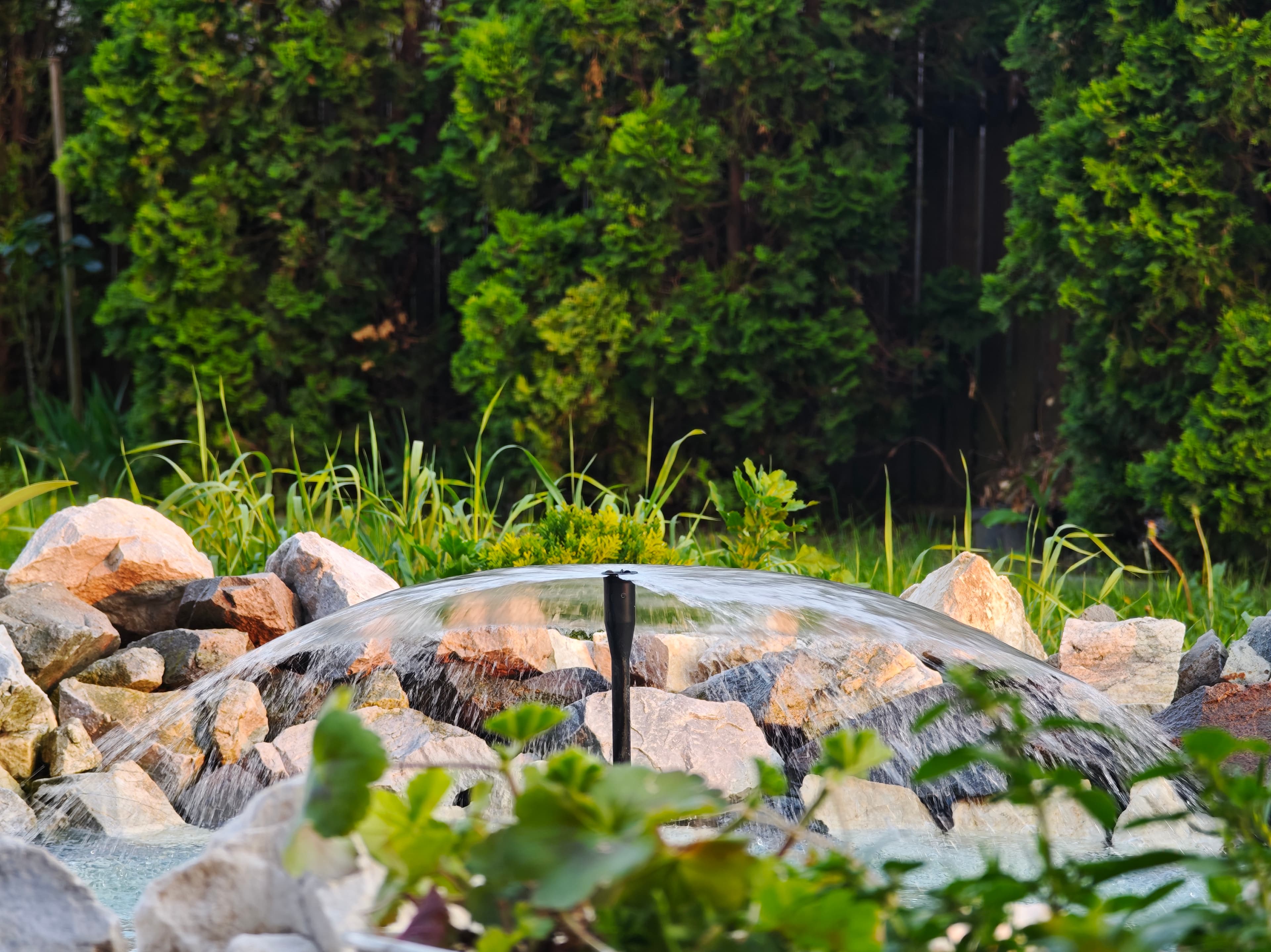 Xiaomi 15 Ultra Photo 6