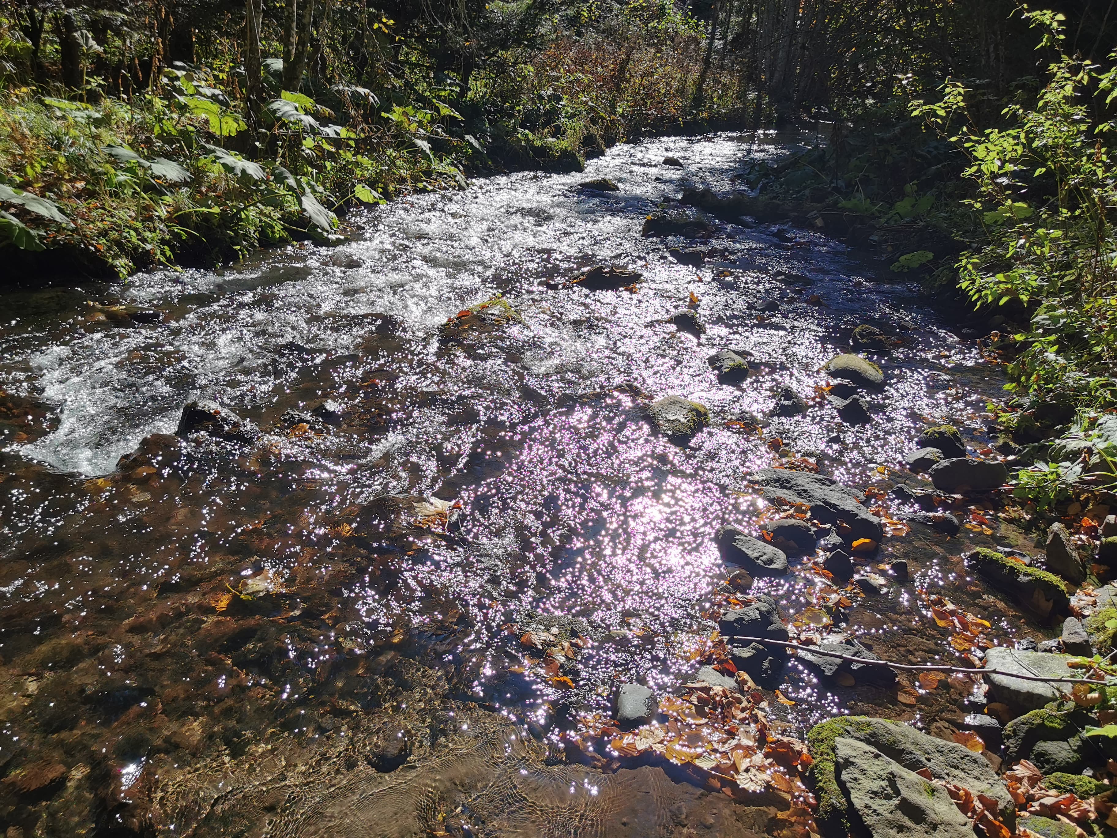 Huawei P30 Pro Photo 3