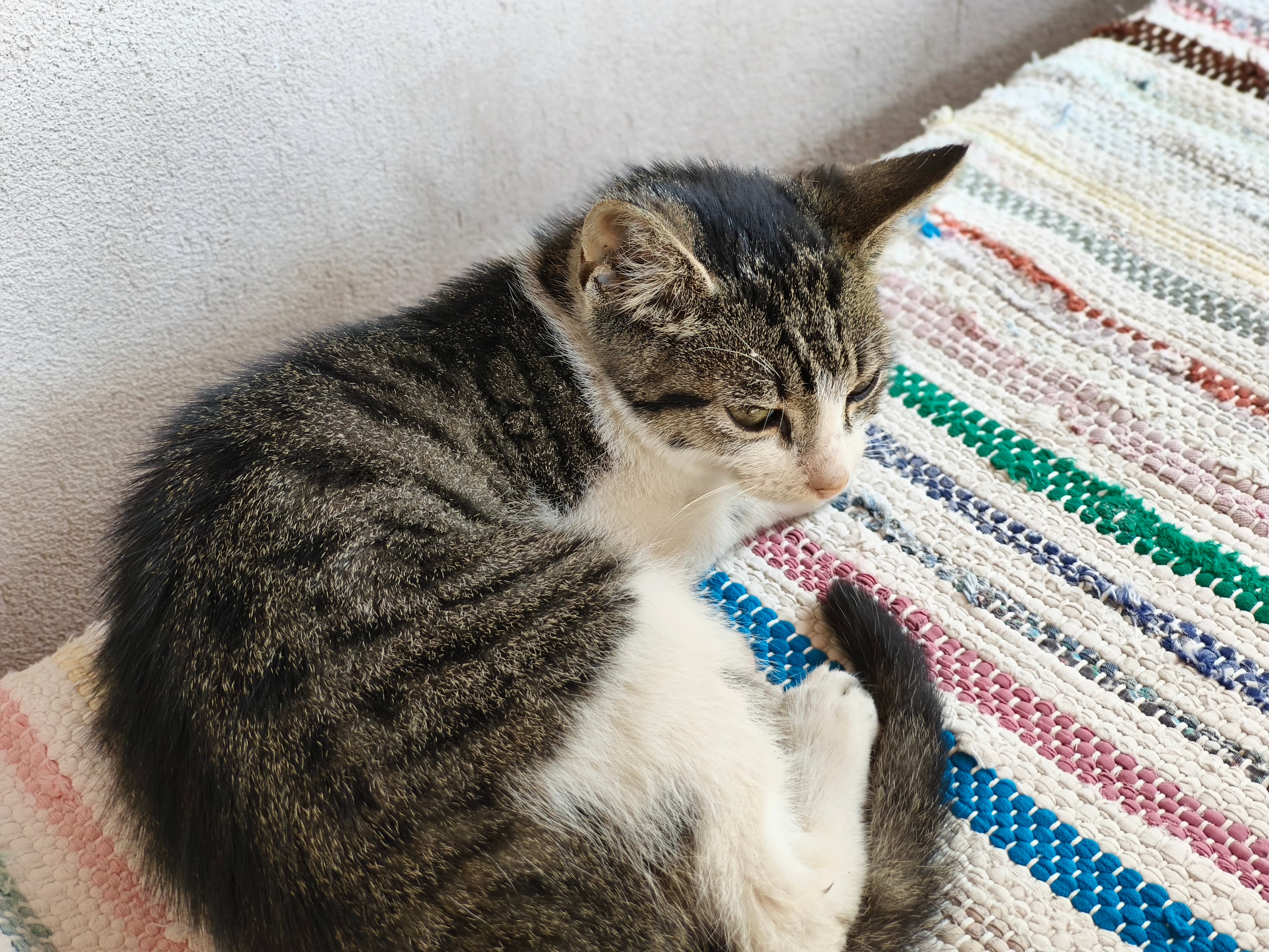 Nothing CMF 2 Pro Photo 2