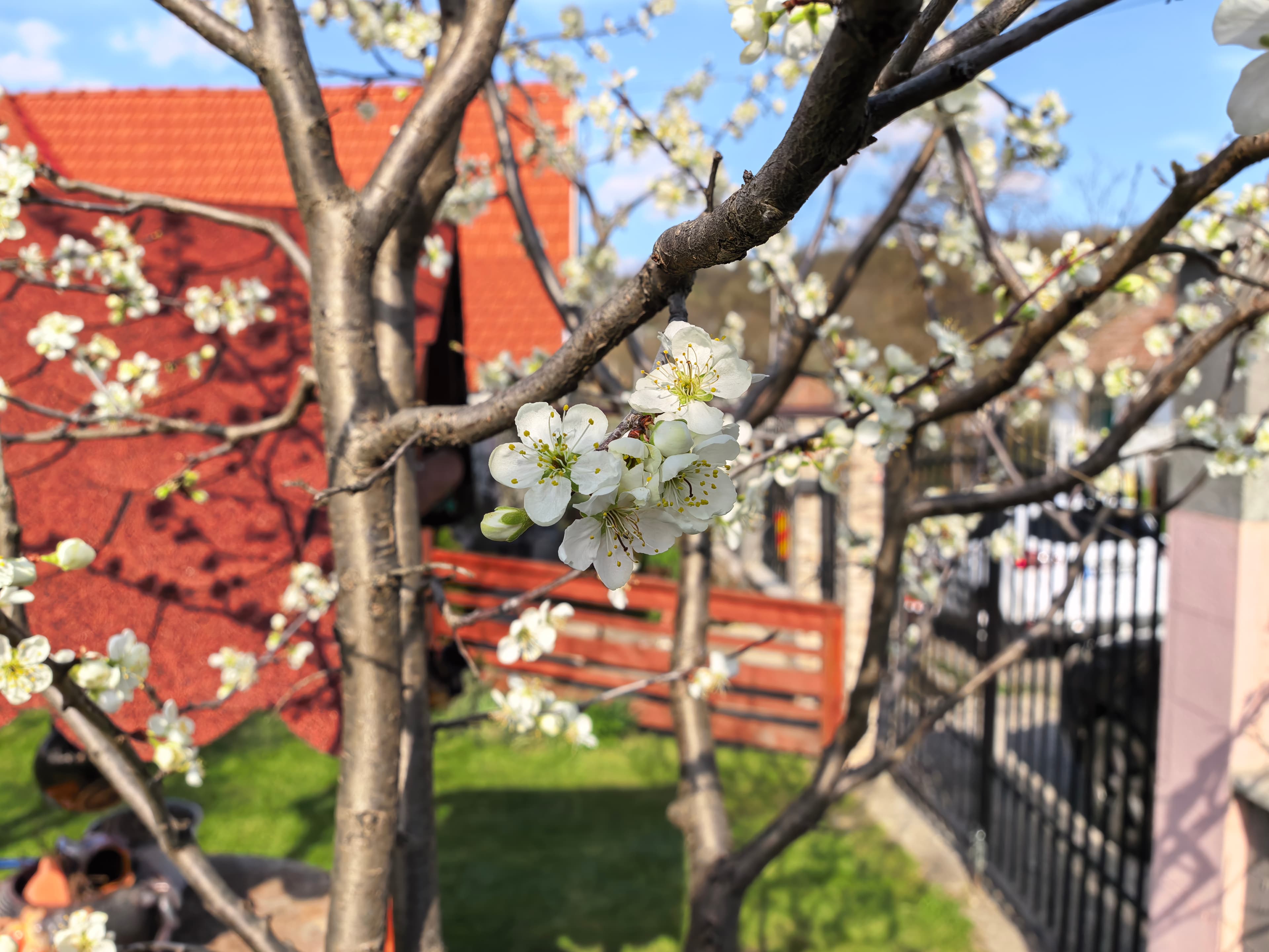 Huawei Pura 80 Ultra Photo 1