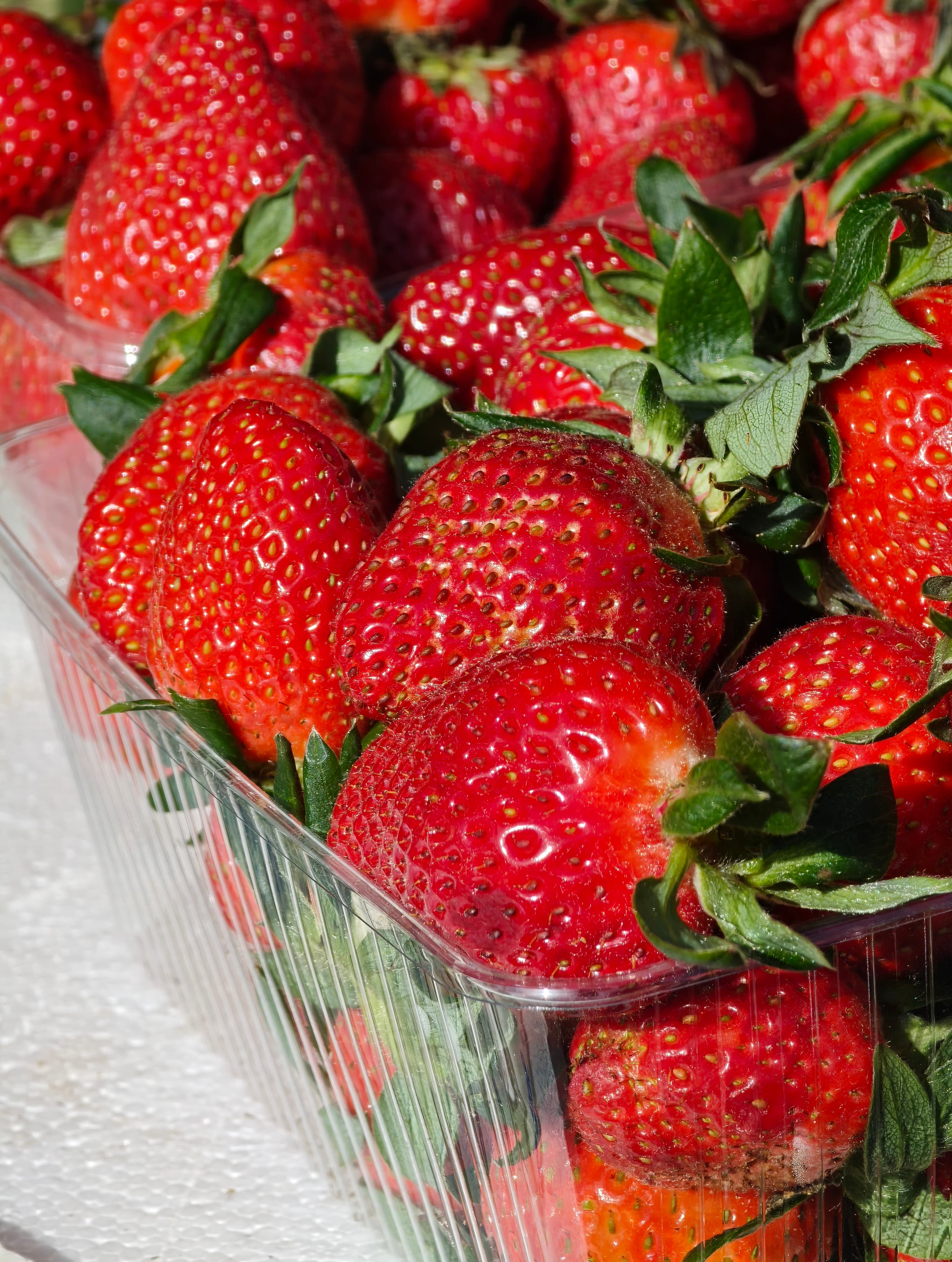 Oppo Find X8 Pro Photo 3